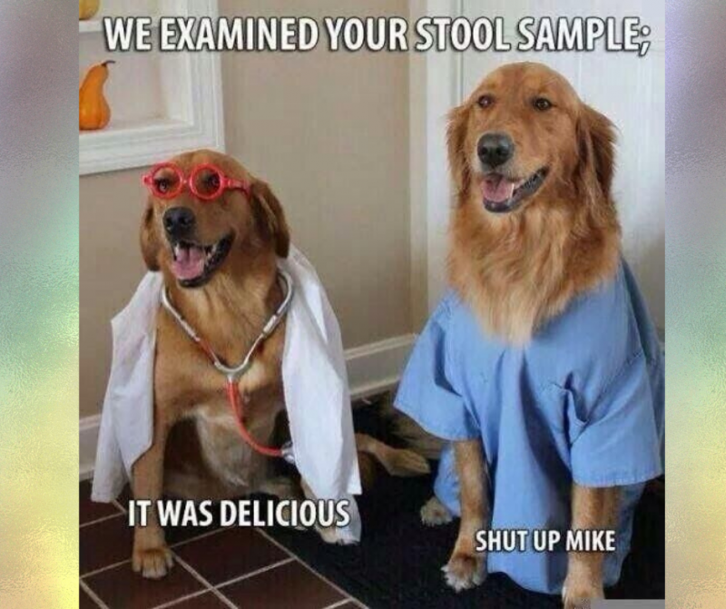 Rheumatoid Arthritis Memes That Will Make You Feel Better Positively